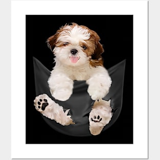 Shih tzu with love Posters and Art